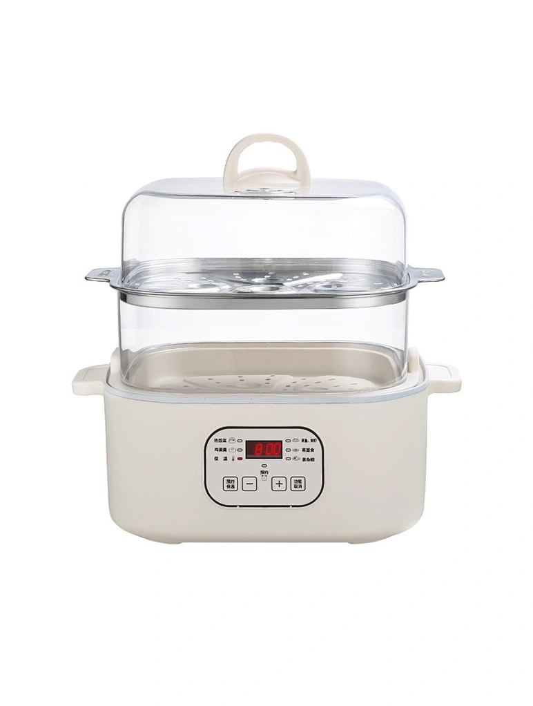 Electric Steamer