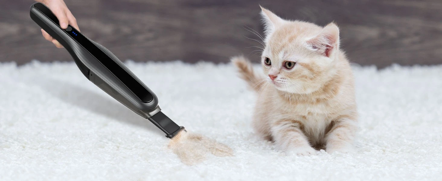 Car Vacuum