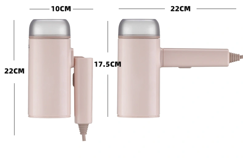 Handheld Steamer