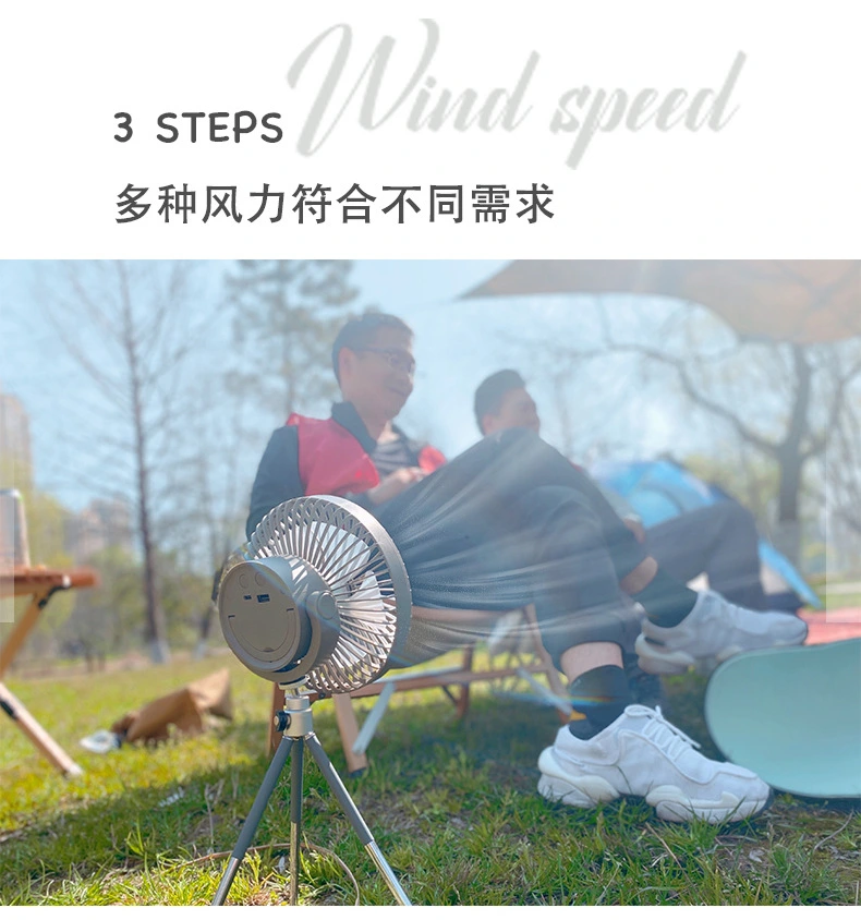 小款烘鞋器