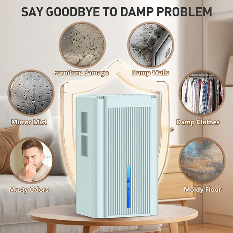 Dehumidifier