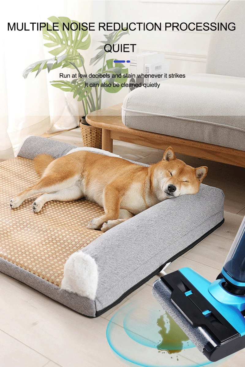 Floor Washer