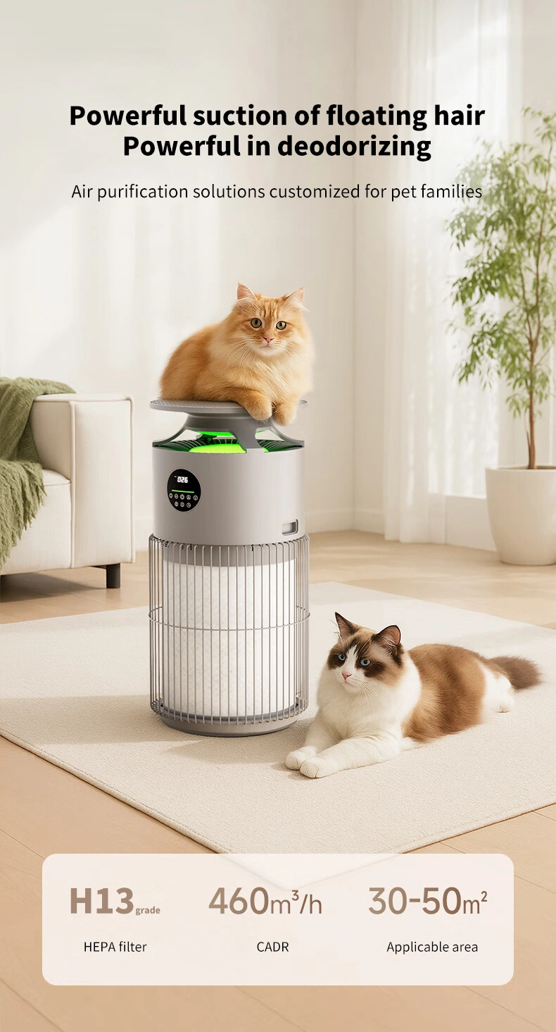 Air Purifier